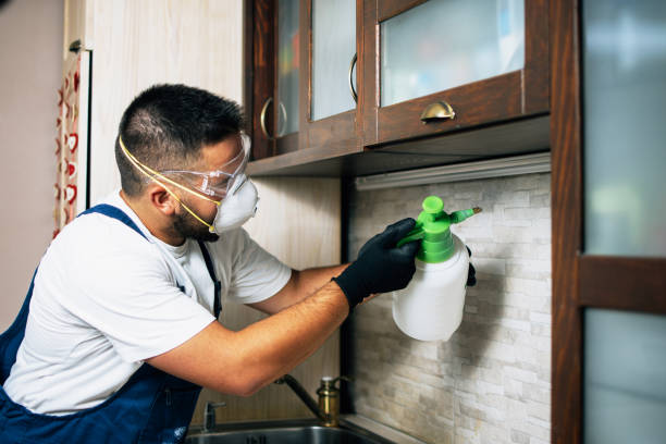 Best Exterminator Services  in Los Alamitos, CA