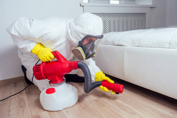 Best Termite Control Services  in Los Alamitos, CA