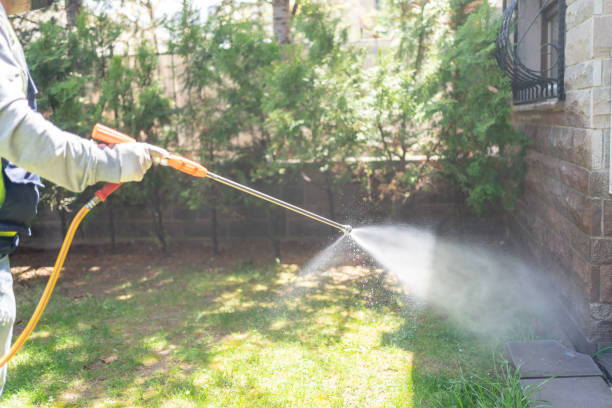 Best Wasp Removal Services  in Los Alamitos, CA