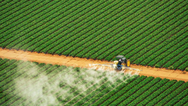 Pest Control Cost in Los Alamitos, CA