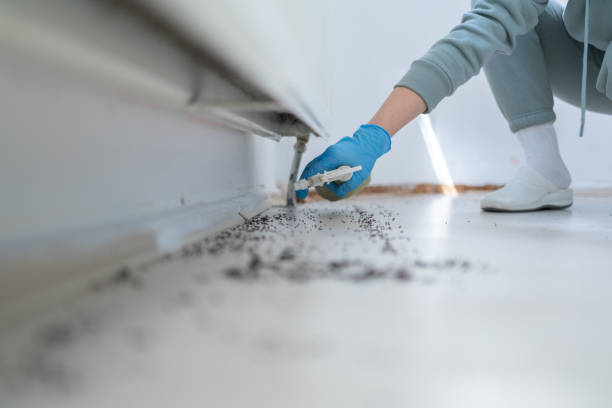 Los Alamitos, CA Pest Control Company